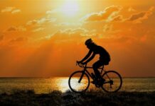 The History of the Bicycle: From Wooden Frames to Modern Engineering The History of the Bicycle
