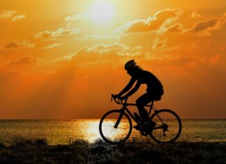 The History of the Bicycle: From Wooden Frames to Modern Engineering The History of the Bicycle