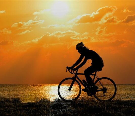 The History of the Bicycle: From Wooden Frames to Modern Engineering The History of the Bicycle